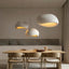 Pendant Light – Organic Fixture for Modern and Minimalist Interiors